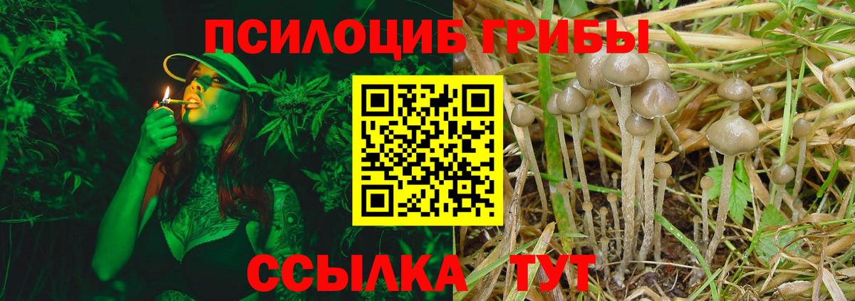 Галлюциногенные грибы GOLDEN TEACHER  Вход с VPN  Липецк 