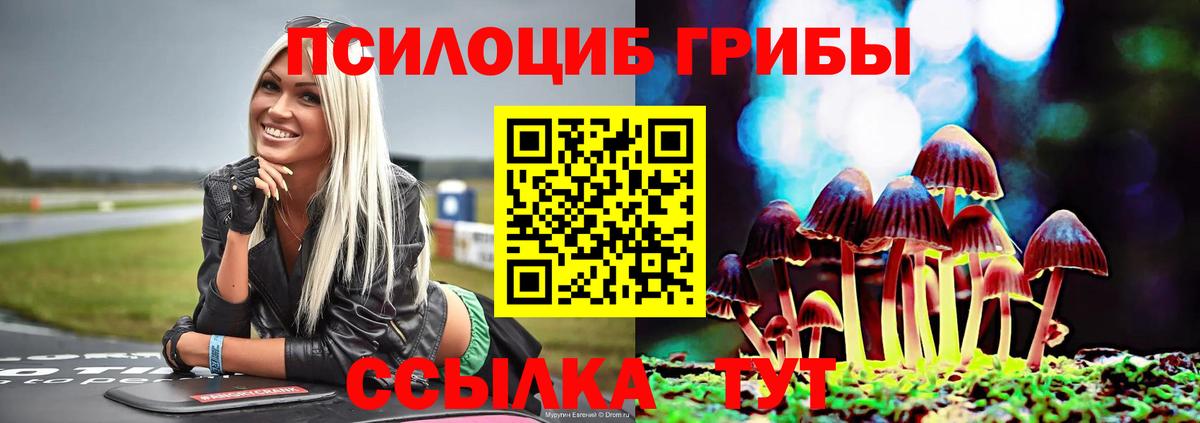 Псилоцибиновые грибы Magic Shrooms Липецк